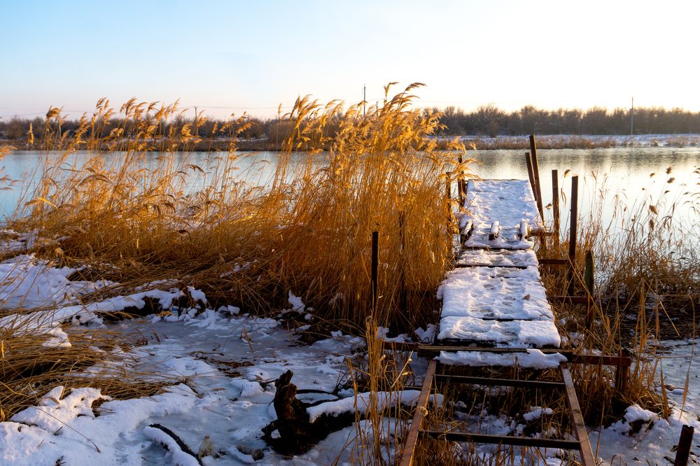 Photograph by Marina Sokolova