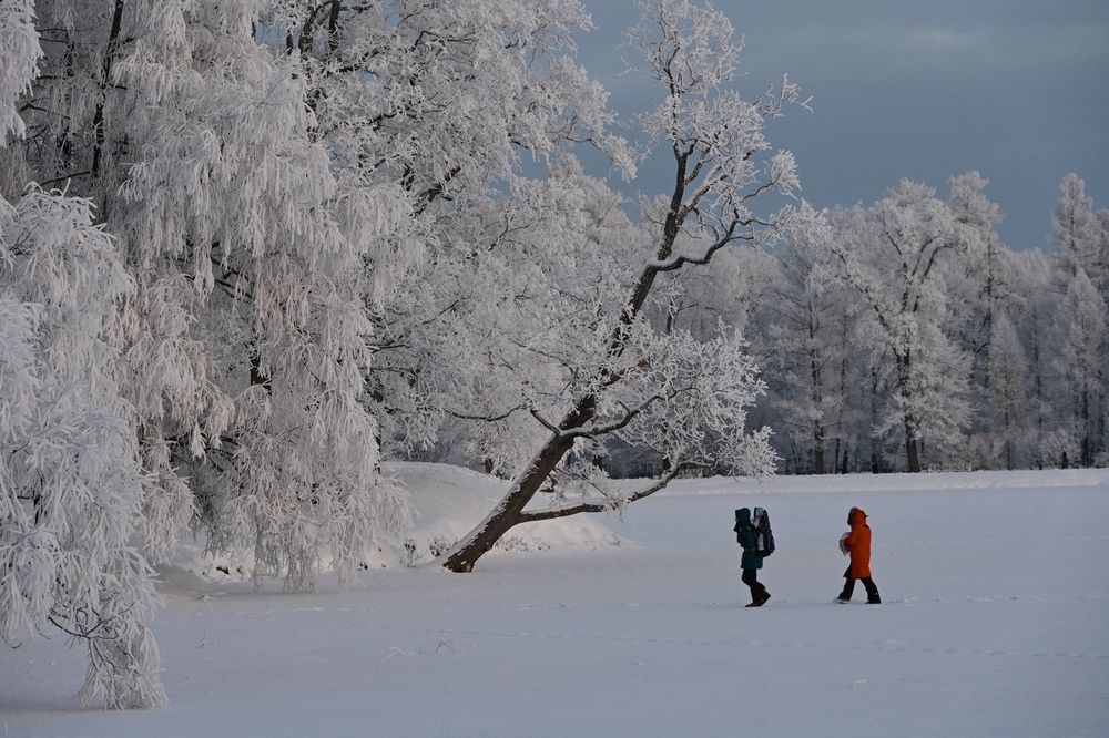 Photograph by Nadin Belova