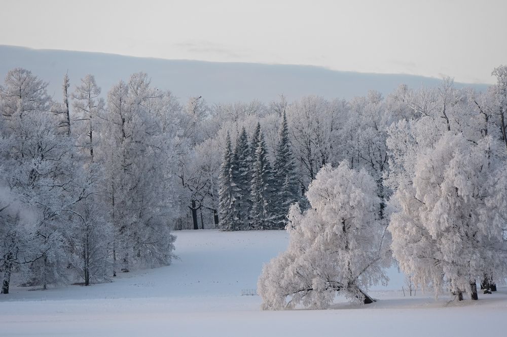 Photograph by Nadin Belova