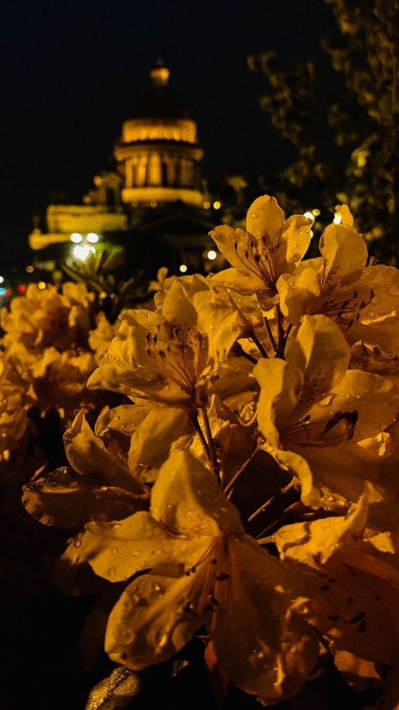 Photograph by Евгения Гродинская