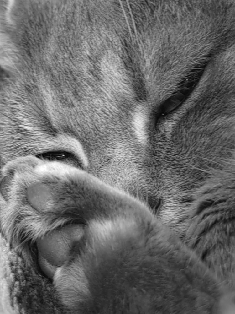 Фотография автора Андрей