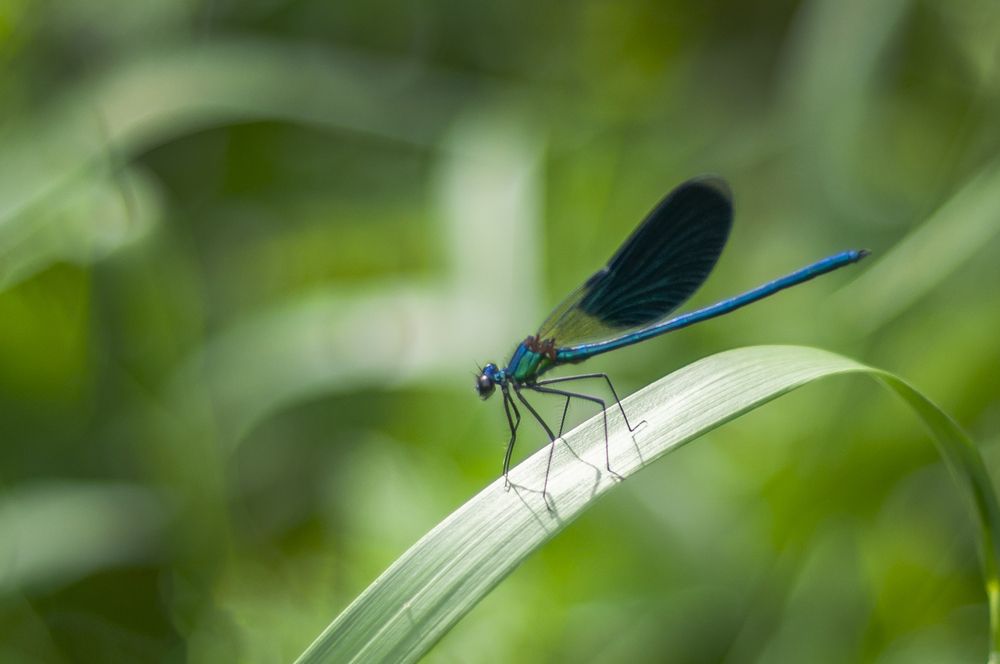 Photograph by Роман Тютин