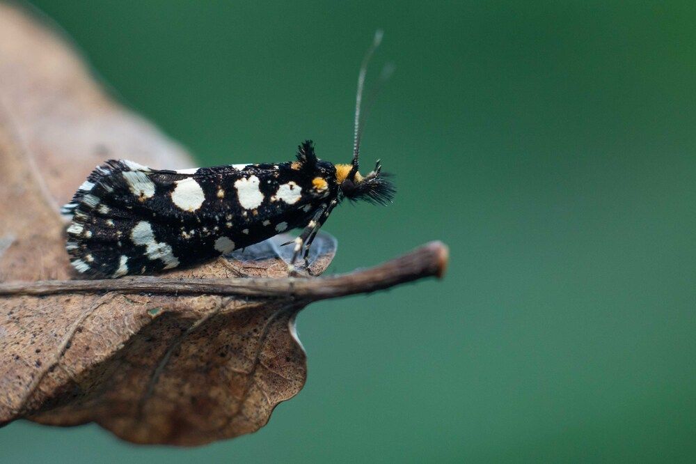 Photograph by Николай Абрамов