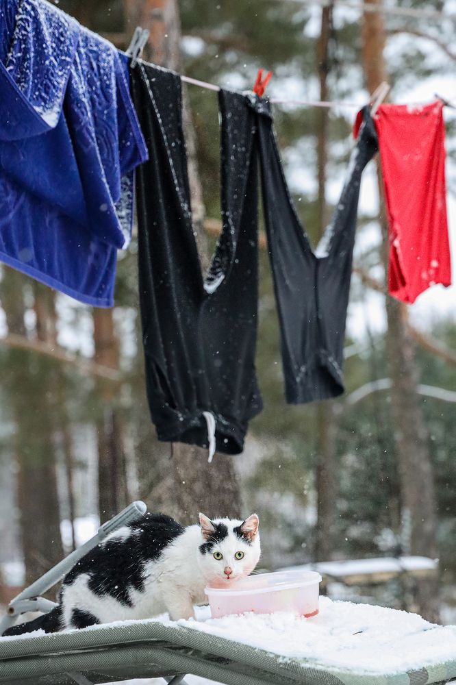 Photograph by Наталья Суслова