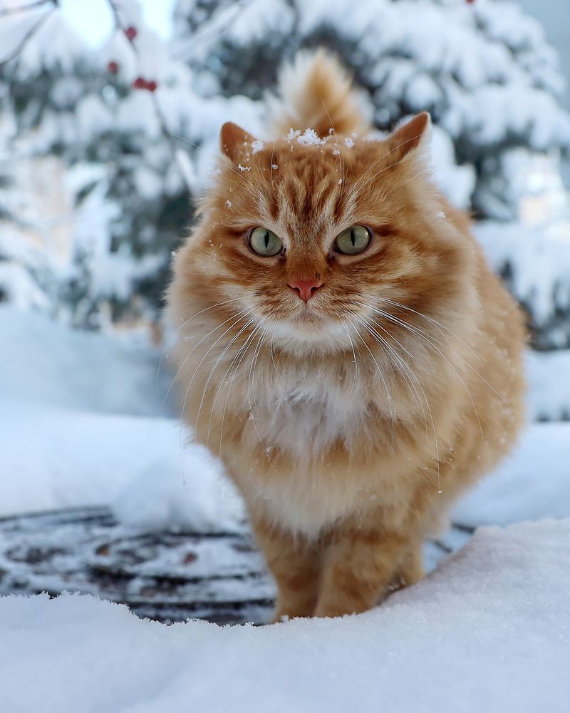 Photograph by Наталья Суслова