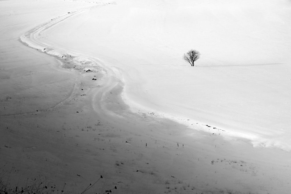 Photograph by keyhan maserat