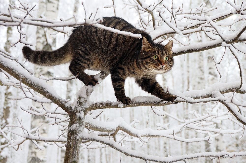 Photograph by Наталья Суслова