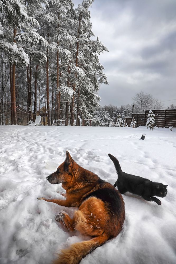 Photograph by Наталья Суслова