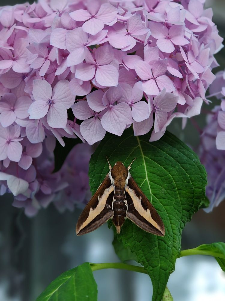 Photograph by Ирина Подлубная