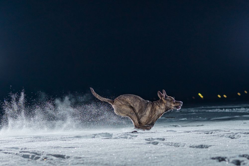 Photograph by Князев Сергей