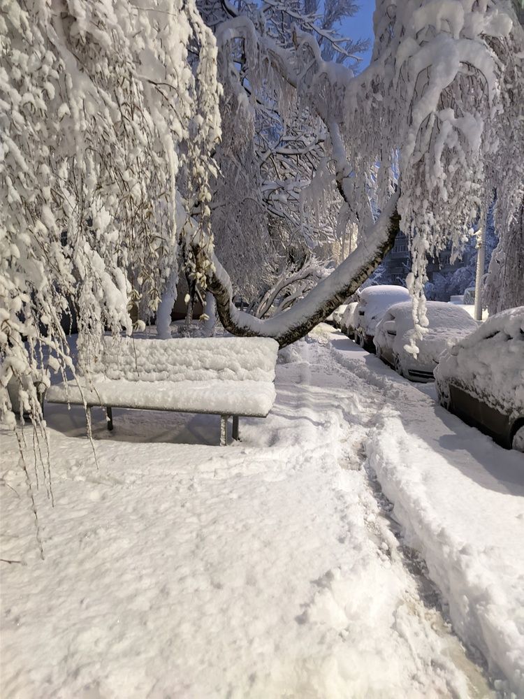 Photograph by Роман Тютин