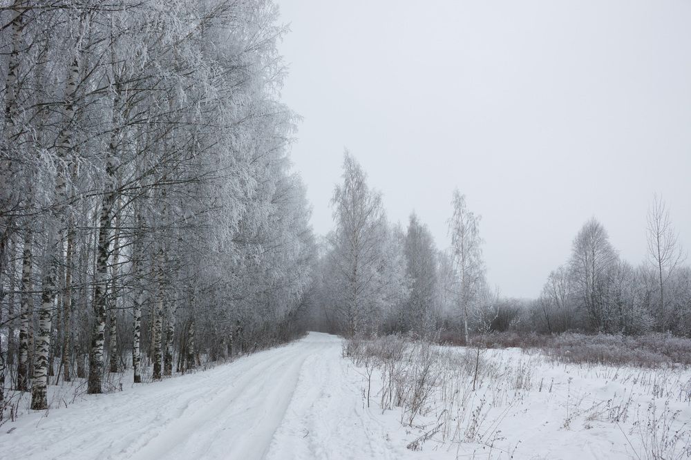Photograph by Вячеслав Шуплецов