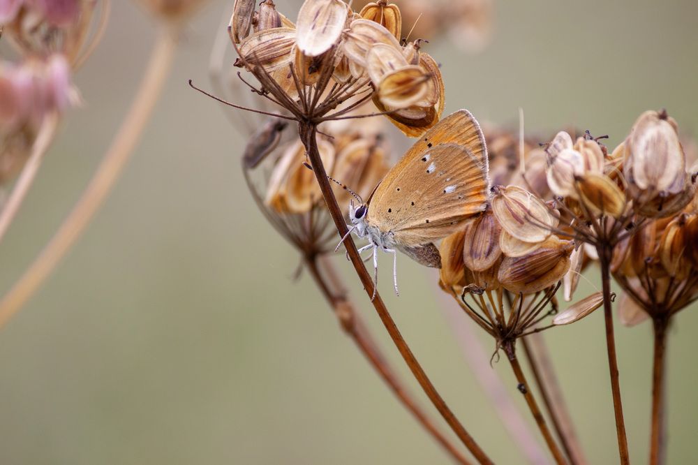 Photograph by Вячеслав Шуплецов