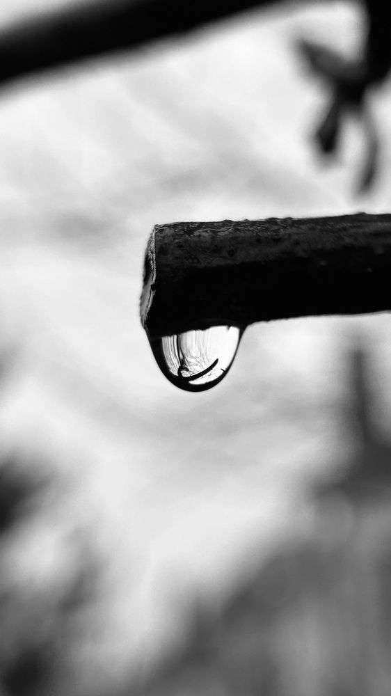 Photograph by Алеся Бутенко