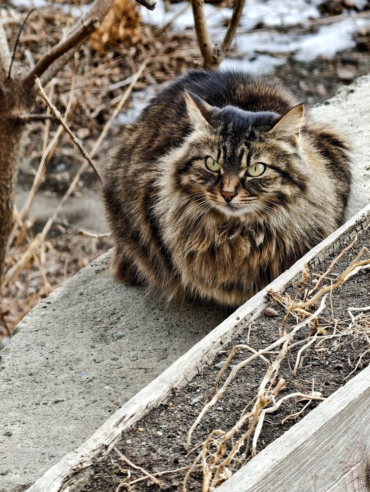 Фотография автора Илья