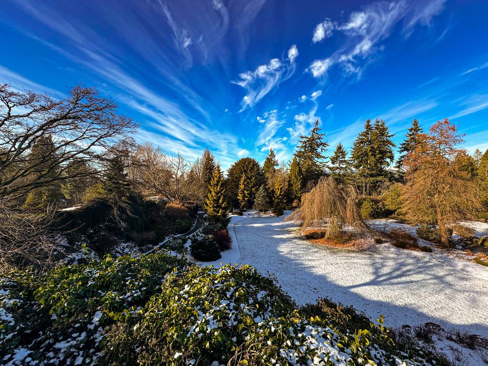 Photograph by Jay Sharan