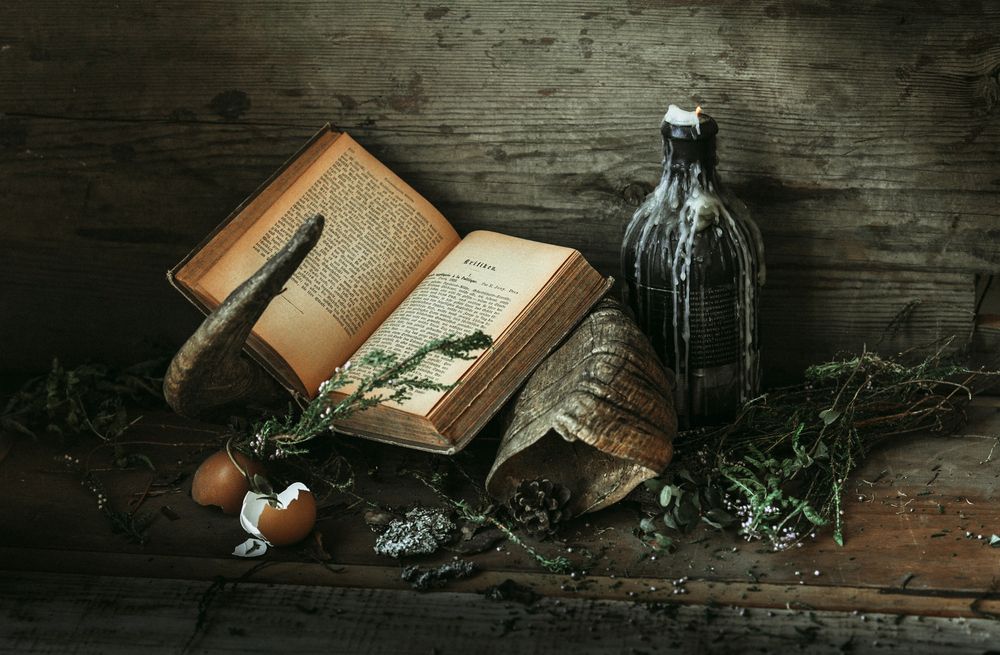 Photograph by Сафронова Любовь