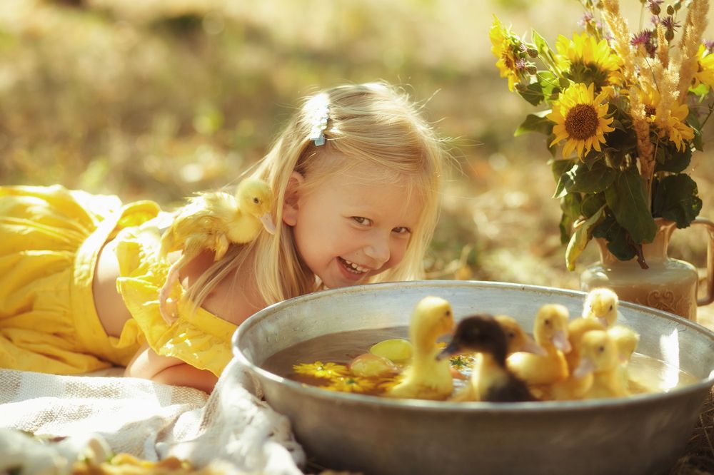 Фотография автора Виктория Литвиненко