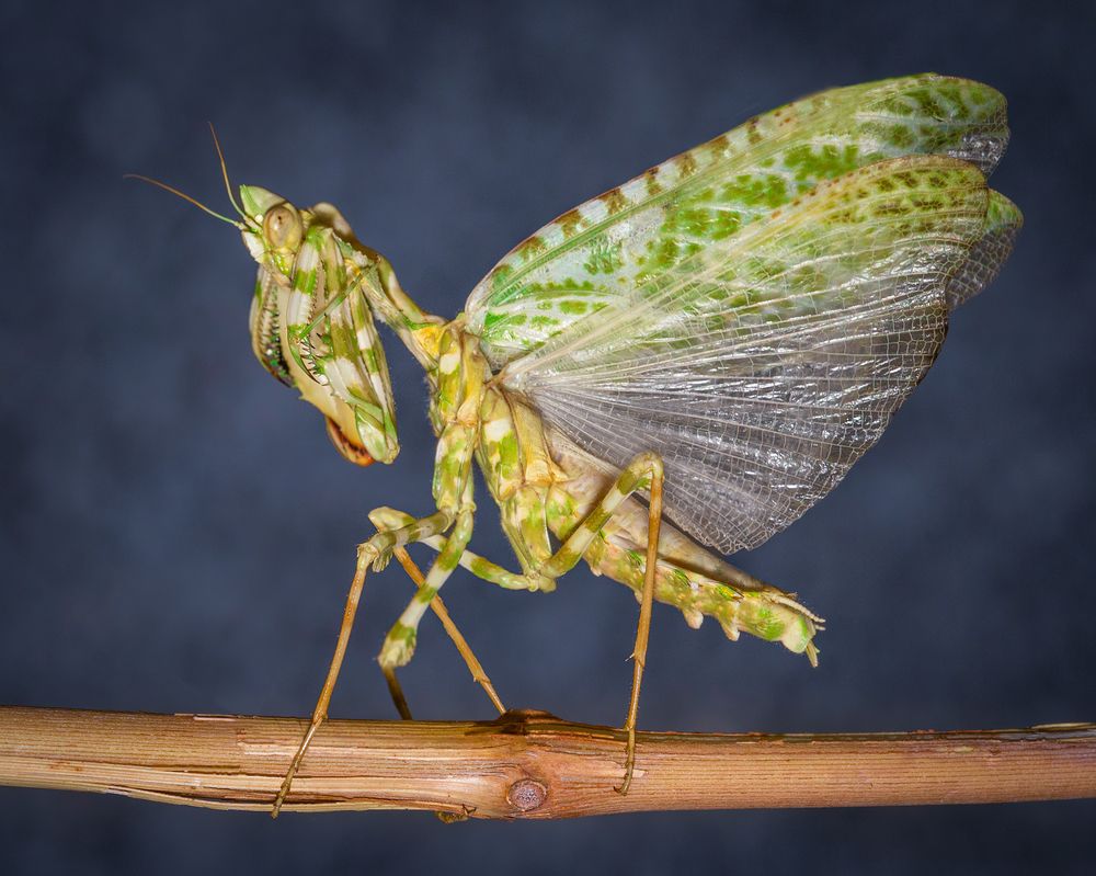 Photograph by Abolfazl Arab