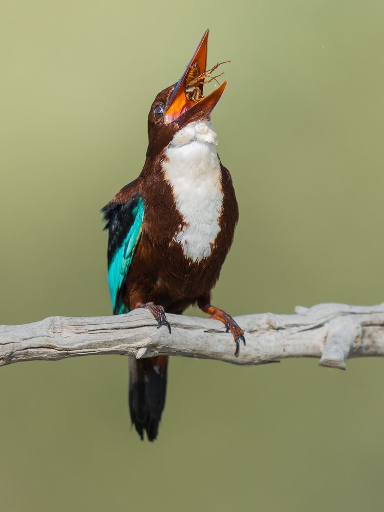 Photograph by Ahmed Sobhi