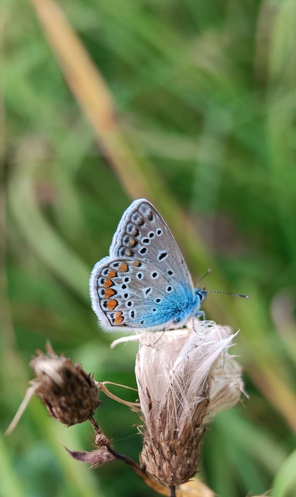 Photograph by Наталья Шумилова