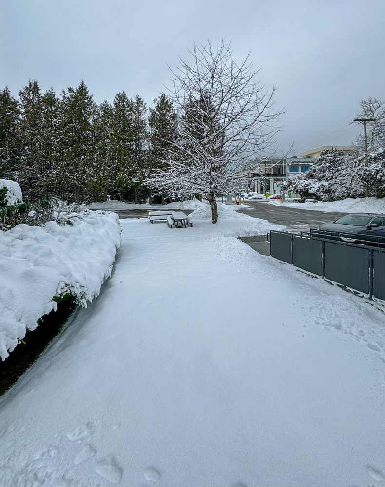 Photograph by Jay Sharan