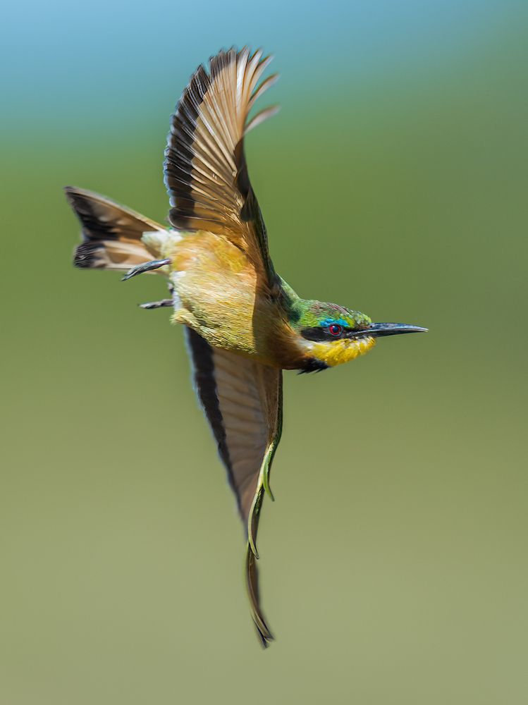 Photograph by Ahmed Sobhi