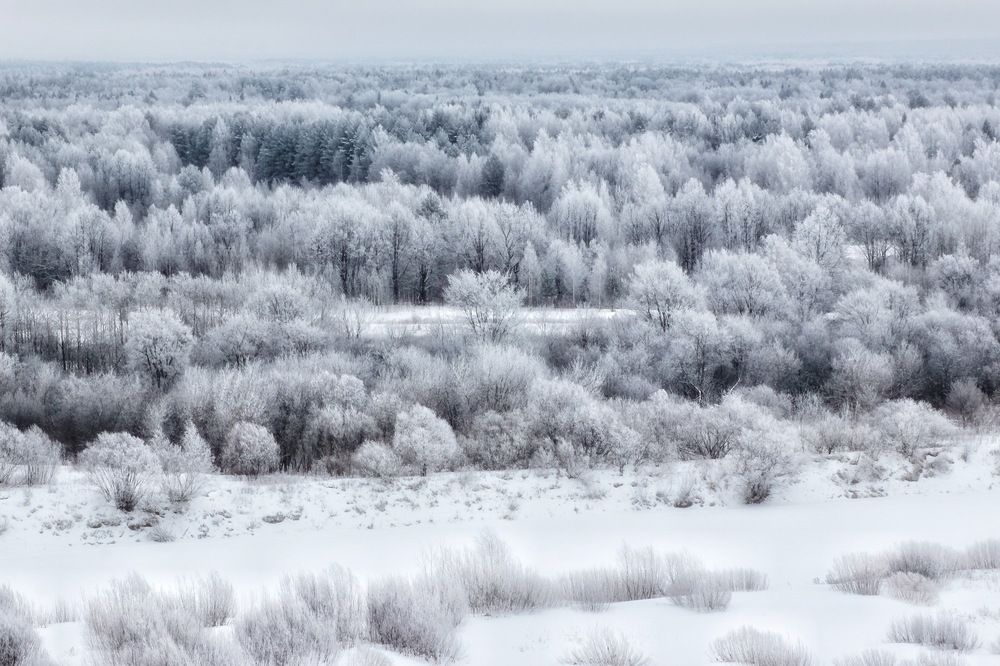 Фотография автора Евгения Никишина