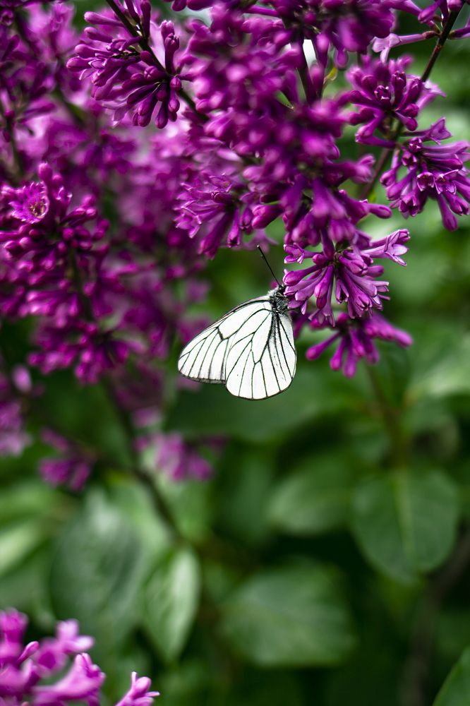 Photograph by Ольга Слотвинская