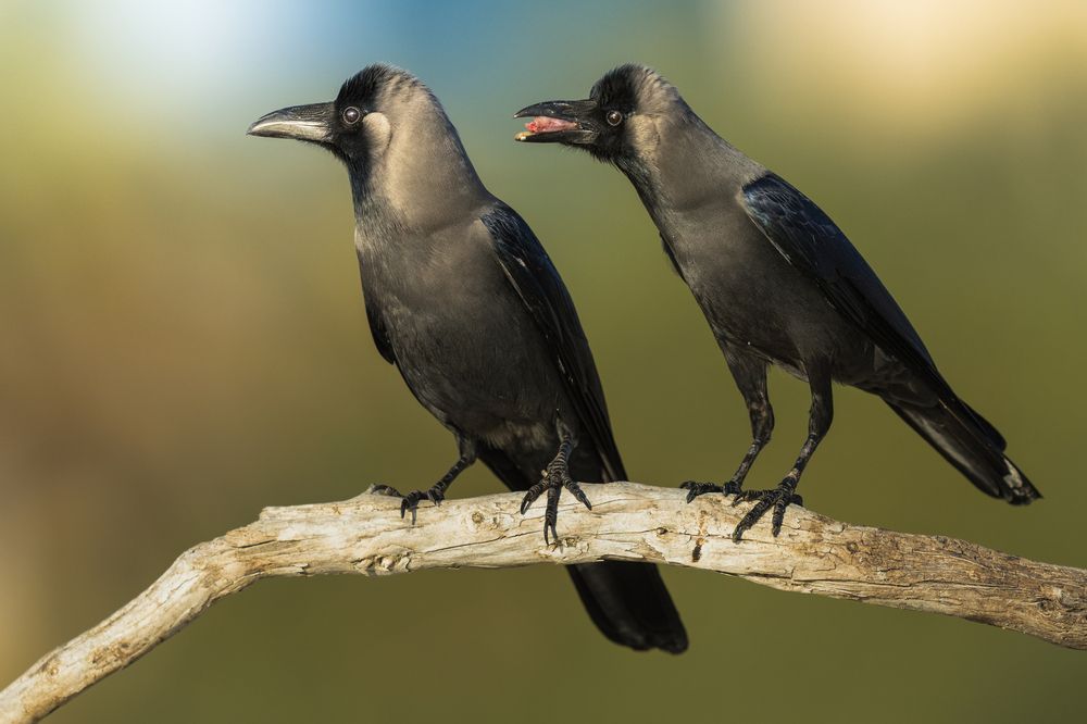 Photograph by Ahmed Sobhi