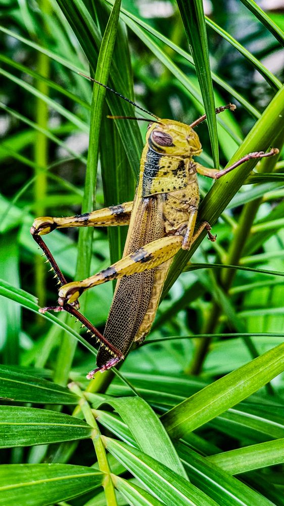 Photograph by Ekaterina Slepneva