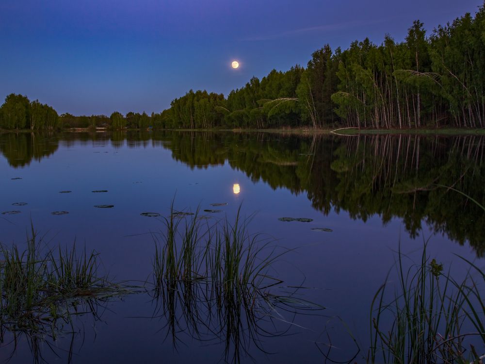 Photograph by Алексеев Дмитрий