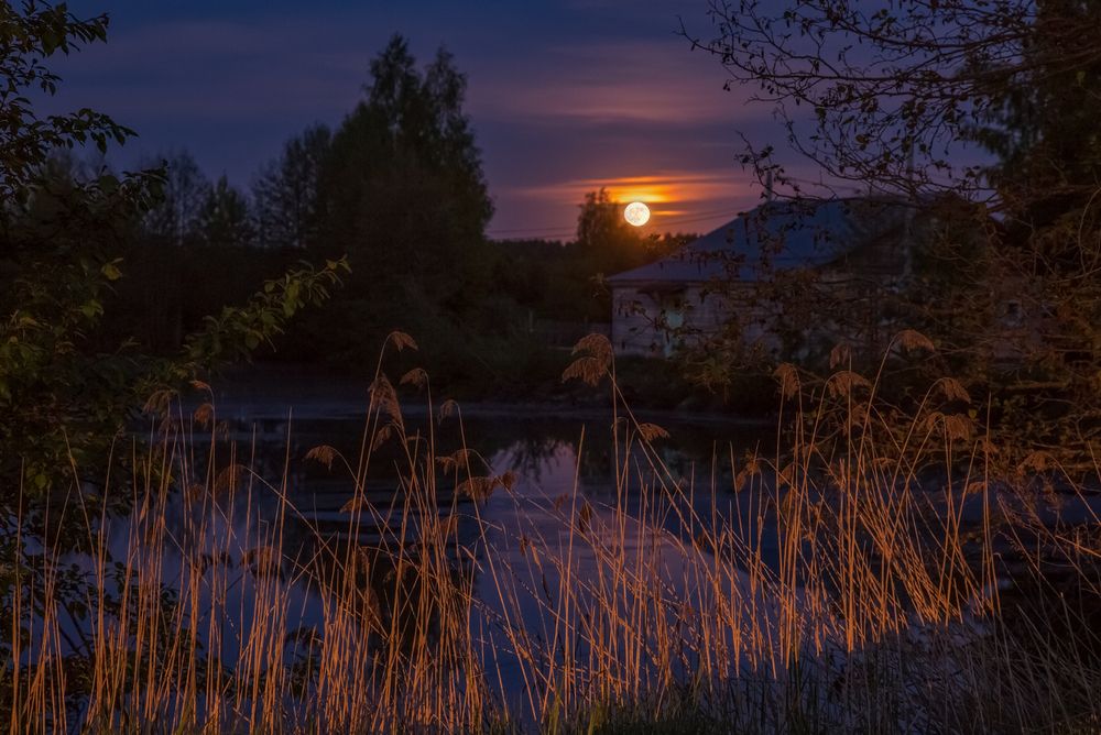 Photograph by Алексеев Дмитрий