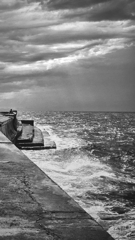 Photograph by Frank D. Domínguez