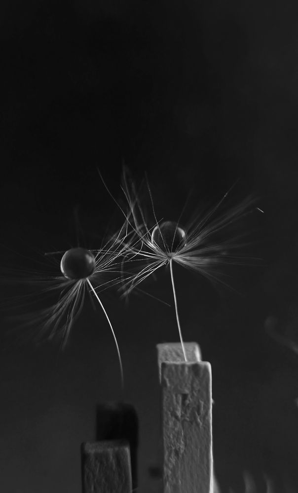 Photograph by Наталья Шумилова