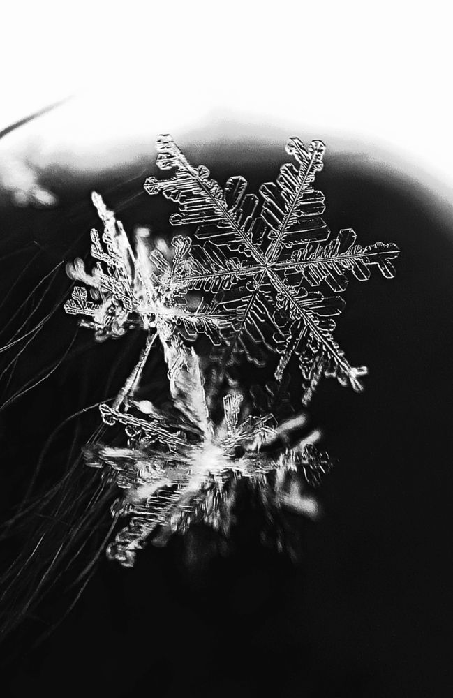 Photograph by Наталья Шумилова