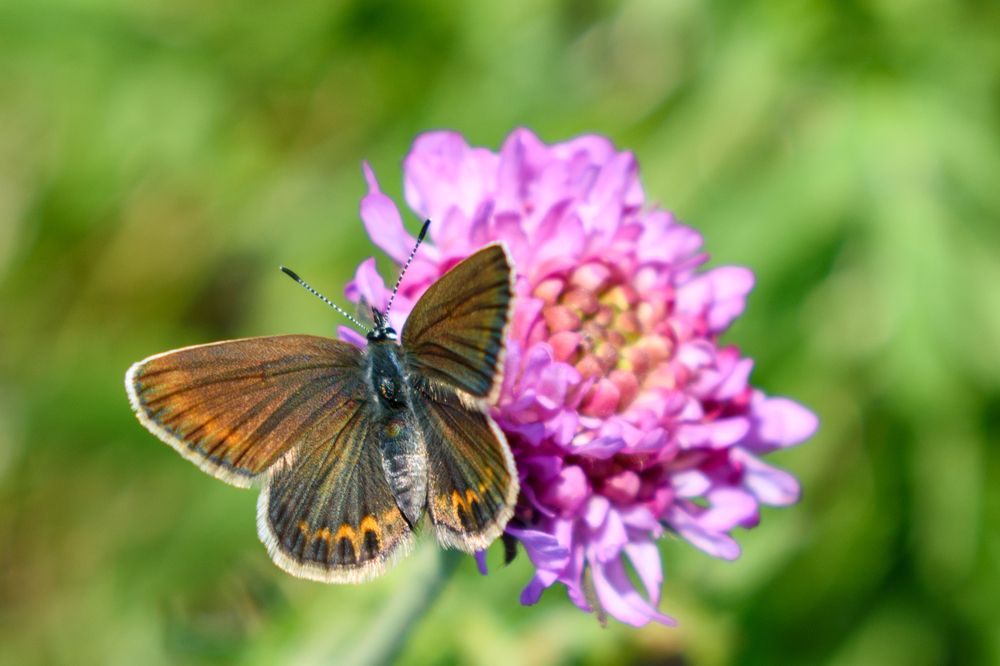 Photograph by Ирина Корнева