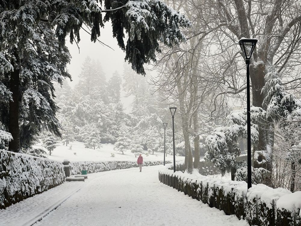 Photograph by Анастасия Васина