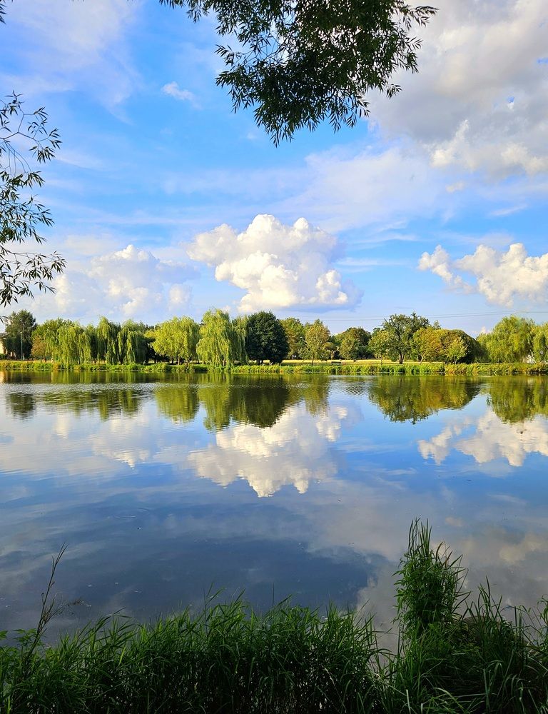 Фотография автора Elena Polonetskaya