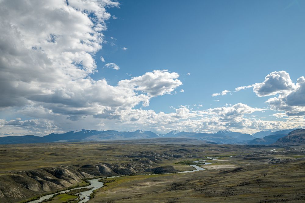 Фотография автора NIKOLAY KALININ