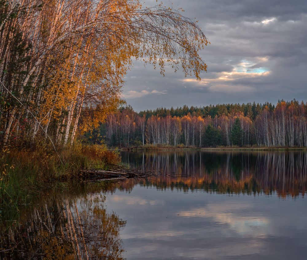 Photograph by Алексеев Дмитрий