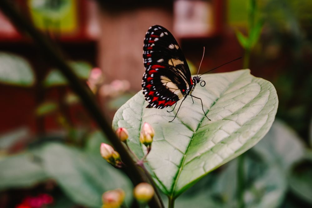 Photograph by Angela