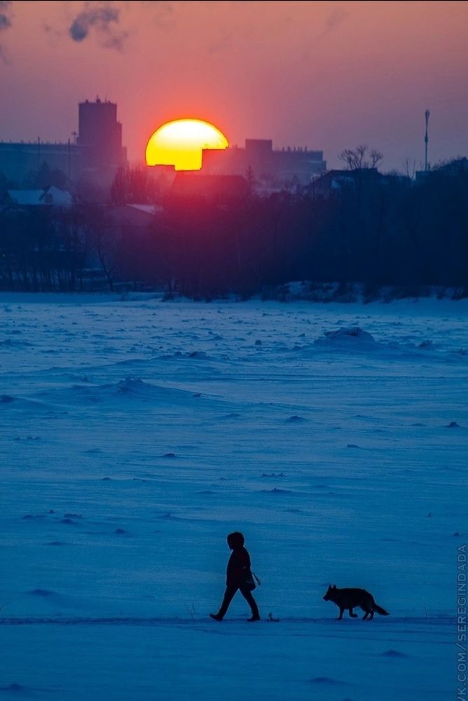 Photo #11904530