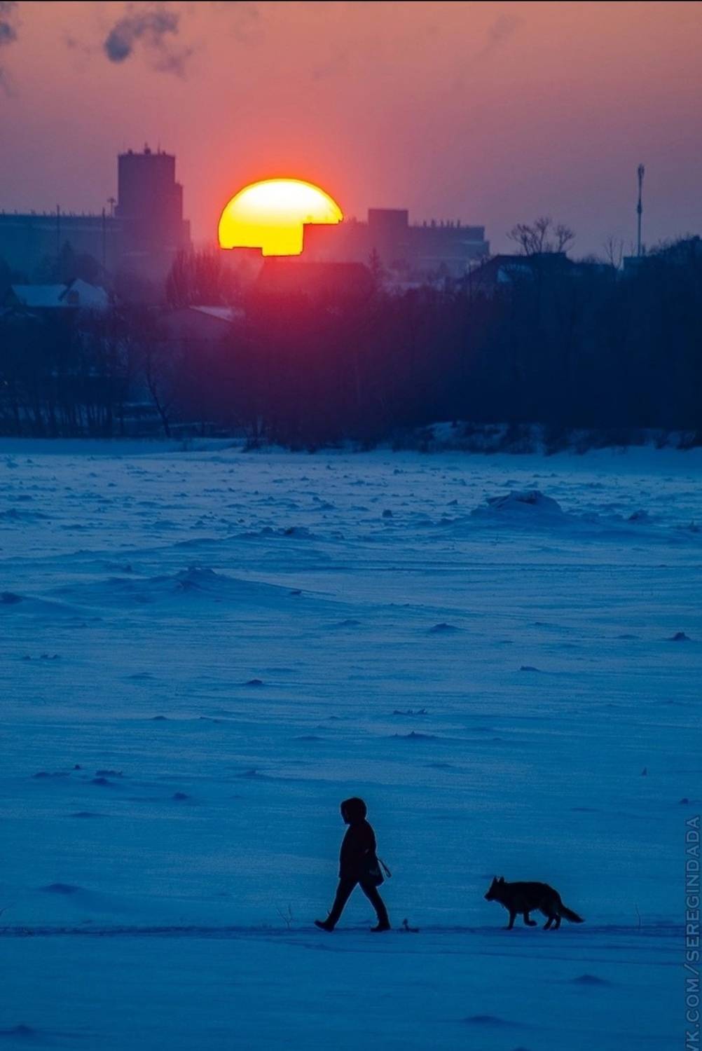 Photo #11904530