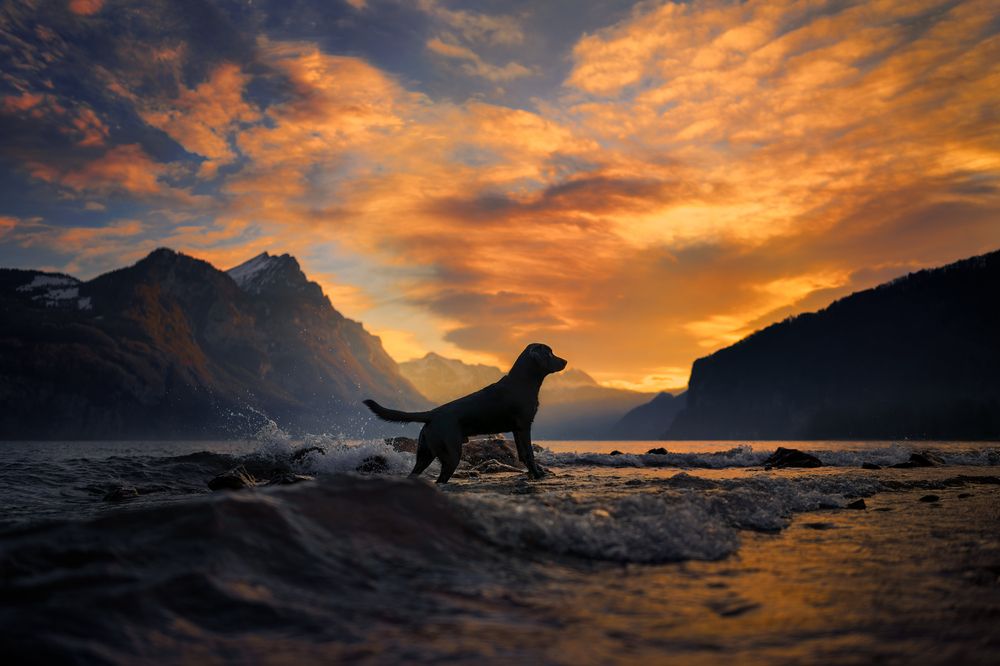 Photograph by karin bruhin