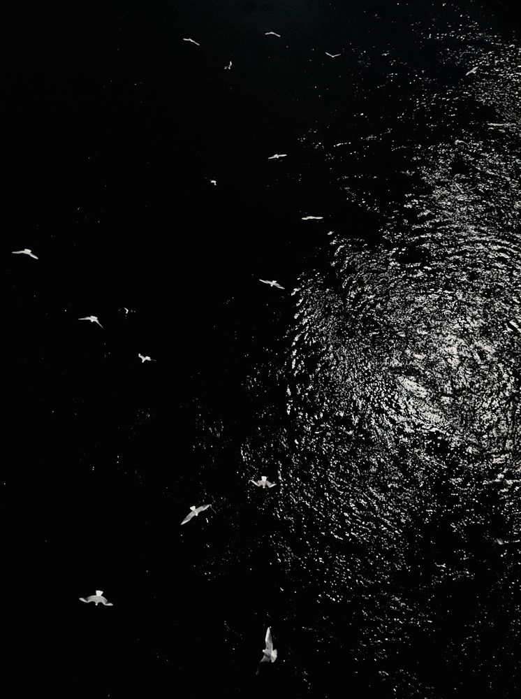 Photograph by Алексей Пирязев