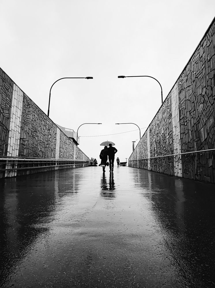 Photograph by Алексей Пирязев