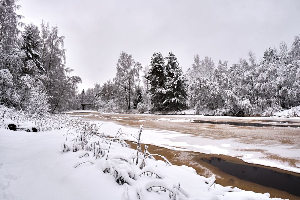 Photograph by Алексей Малов