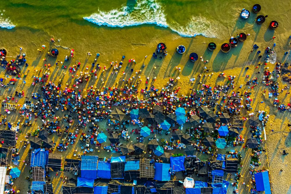 Tam Tien Fish Market – A Bustling Coastal Tradition