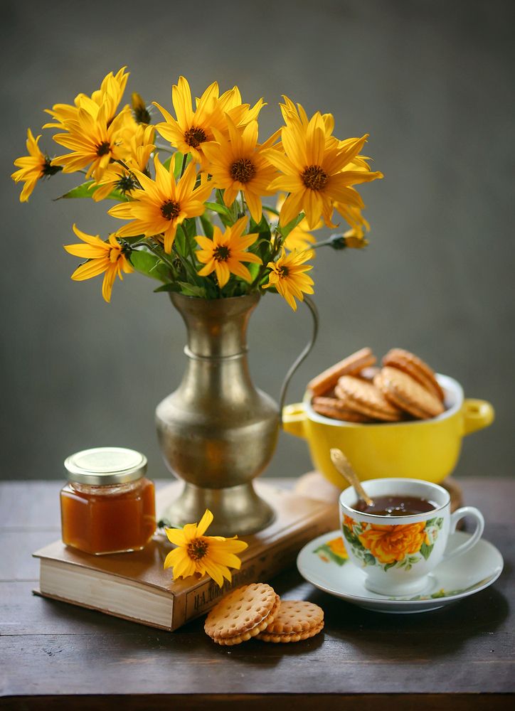 Фотография автора Евгения Грин